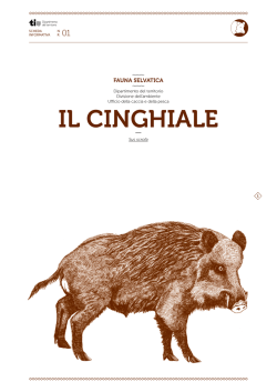 IL CInghIaLE - Repubblica e Cantone Ticino