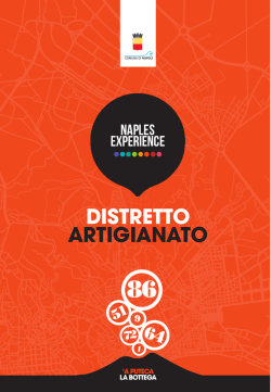 DISTRETTO ARTIGIANATO