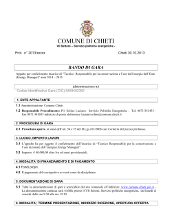 2014 Bando_comune_di_Chieti_Energy Manager