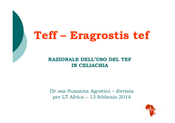 Download PDF - Lt Africa Srl