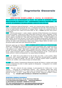 26.7.2014 comunicato stampa sindacato cosp
