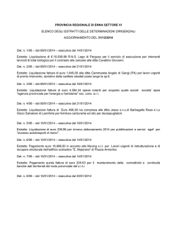 Determinazioni - Provincia Regionale di Enna