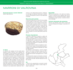 MARRONI DI VALROVINA - Veneto Agricoltura