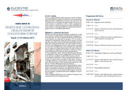 Dissesti delle costruzioni, crolli ed elementi di ingegneria