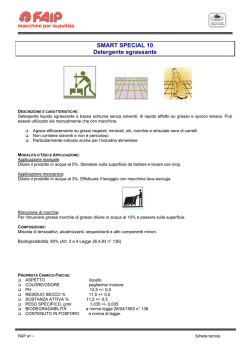 SMART SPECIAL 10 Detergente sgrassante