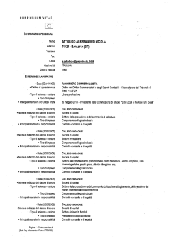 curriculum vitae