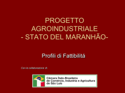progetto agroindustriale - stato del maranh&atilde;o