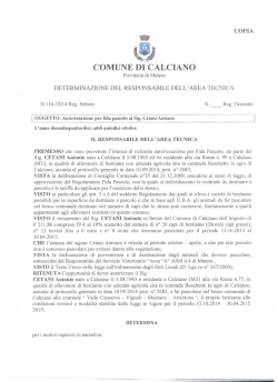 Determina n. 116 del 15.10.2014