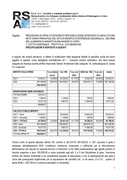 Documento n. 1 di specificazioni e risposte a quesiti