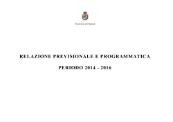 Relazione Previsionale e Programmatica 2014-2016