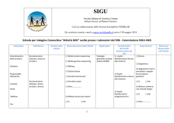 Documento allegato