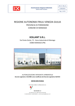 PN_AIA_96 Sintesi - Regione Autonoma Friuli Venezia Giulia