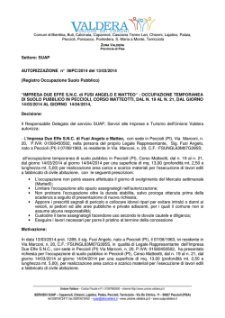 IMPRESA DUE EFFE S.N.C. di FUSI ANGELO E
