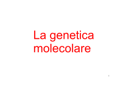 DNA