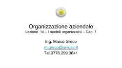 I modelli organizzativi 3, Organizzazione ed incentivi