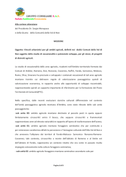 GRUPPO CONSILIARE S.A.E. SaluteAmbienteEconomia Alla