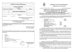 Determina n 85-2014 - Comune di Castel Baronia