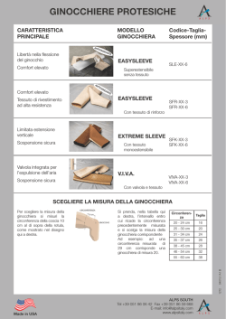 Programma Ginocchiere