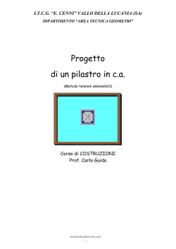 Progetto di un pilastro in c.a. - Progettazione architettonica CARLO
