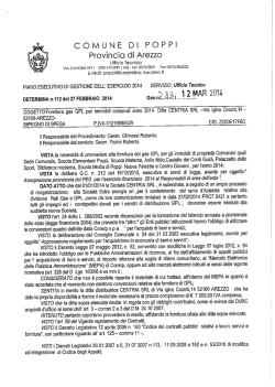 COMUNE DI POPPI Provincia diArezzo