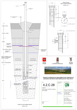 Particolari costruttivi pozzi e reti biogas A2 (1)