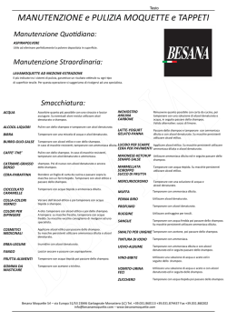Download PDF - Besana Moquette