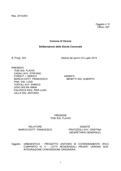 Rep. 2014/203 Oggetto n° 8 Ufficio: 007 Comune di Verona