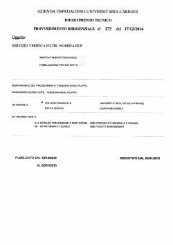 servizio verifica filtri. nomina rup