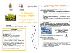 Bozza volantino e locandina marcia 2014 riv.4
