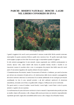 riserve naturali - Provincia Regionale di Enna