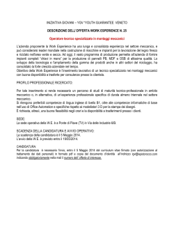 work experience 25 - Iniziativa Giovani Veneto