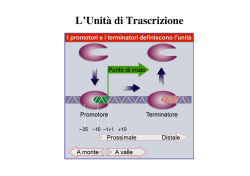 figure supplementari 8