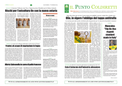 Il Punto Coldiretti 42 2014_Layout 1
