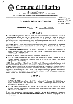 ORDINANZA N.10 DEL 03062014