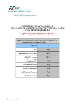 indici medi per la valutazione economico finanziaria di un