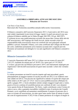 Relazione Tesoriere 2014.