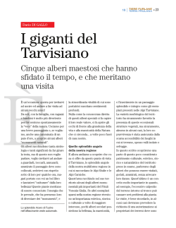 I giganti del Tarvisiano