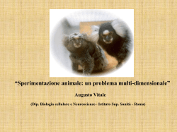Presentazione con slides - Centro Internazionale di Studi Rosminiani