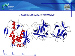 Lezione (1) XI- 14 Struttura proteine