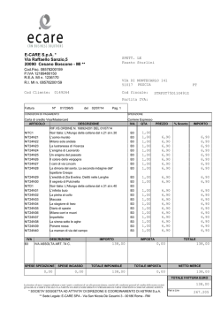 E-CARE S.p.A. * Via Raffaello Sanzio,5 20090 Cesano Boscone
