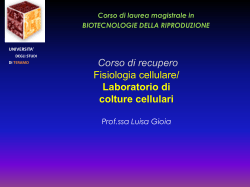 LEZ REC prof Gioia LabColtCell Isolamento cell - E