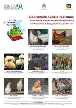 Biodiversità avicola regionale - Razze avicole elencate