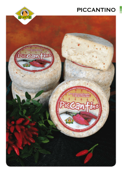 PICCANTINO - Canti Cheese