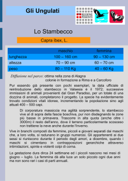 Italiano - areeprotettevallesesia
