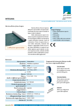 INTESANA - giemmegroup.it