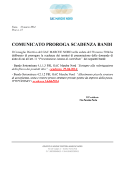 Piano Finanziario PSL GAC Marche Nord