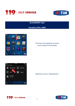 BLACKBERRY Q10 - Visualizza PIN e IMEI