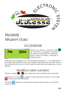 ISTRUZIONI palmare