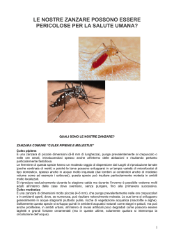 prevenzione delle malattie trasmesse dalle zanzare