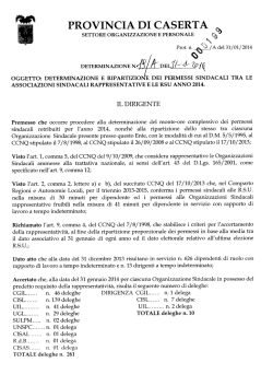 Determinazione n. 19 - Provincia di Caserta